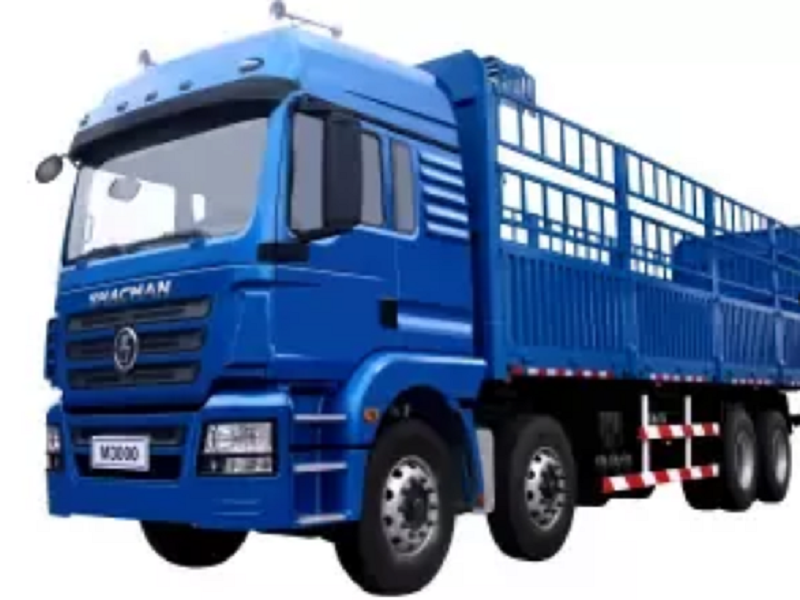 Shacman H3000 жүк көлігі 8x4 жүк көлігі
